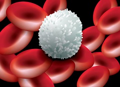 Лейкоцитоз состояние, характеризующееся избытком белых кровяных телец в крови